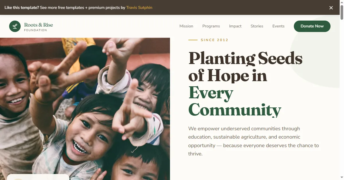 Roots & Rise - Nonprofit Foundation Preview